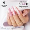 Gel Polish CAT EYE Victoria Vynn 269